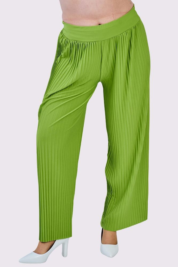 Pleated Elasticated Waistband Wide Leg Trousers